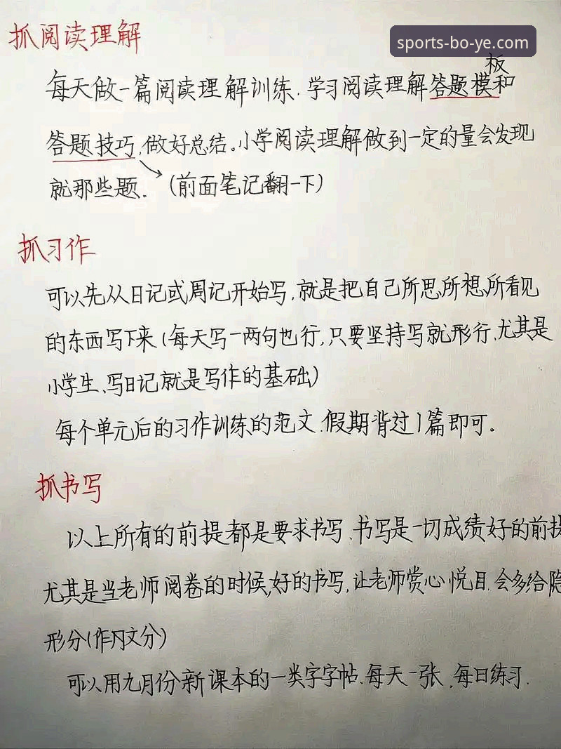 博业体育好用吗 5个实用角度告诉你博业体育好用吗:新手入门到熟练使用的完整指南